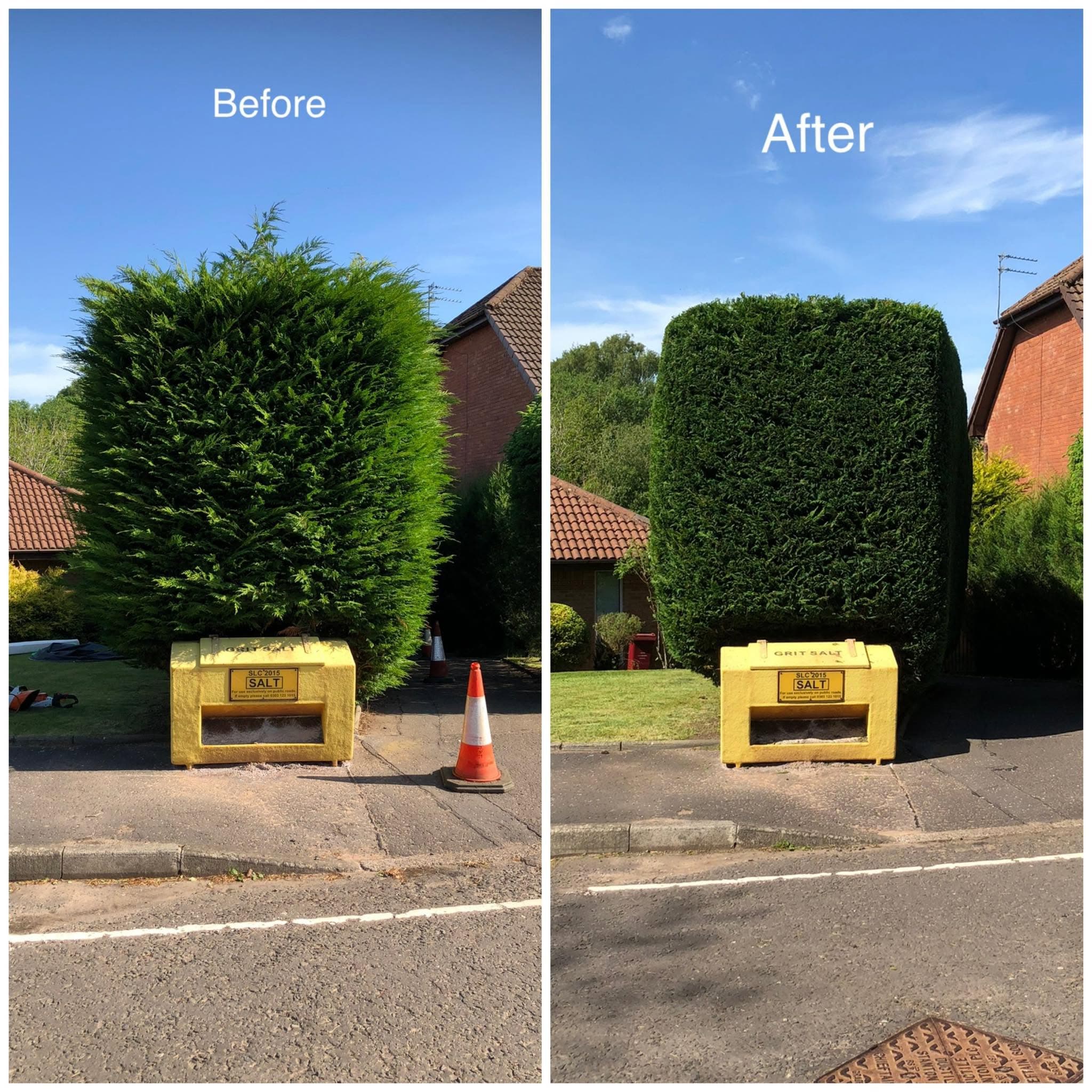 Before and after of a professionally boxed cedar hedge along a sidewalk