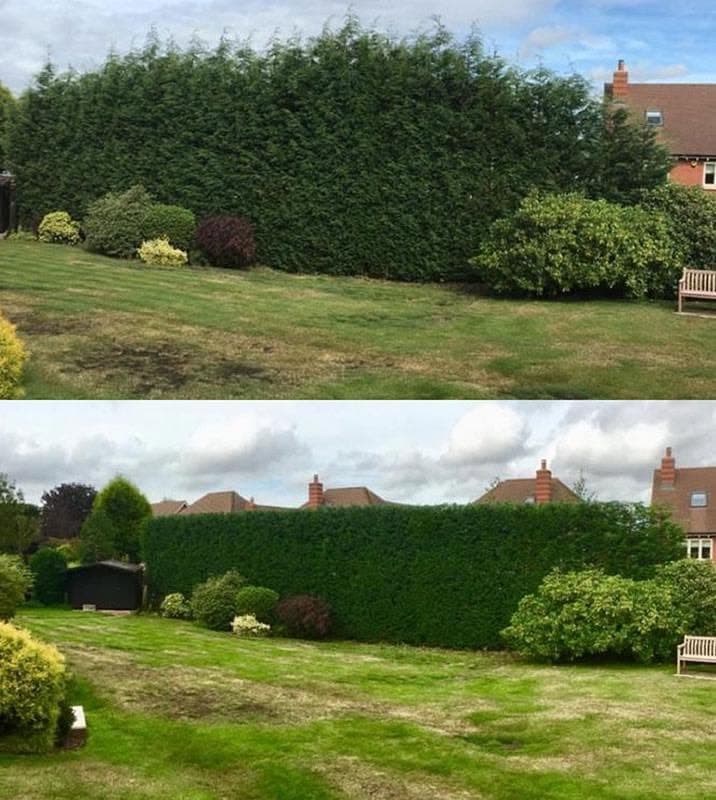 Before and after tree and hedge cleanup on a Laval residential lot